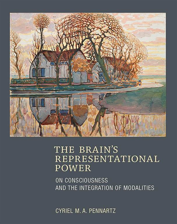 The Brain's Representational Power: On Consciousness and the Integration of Modalities (The MIT Press)