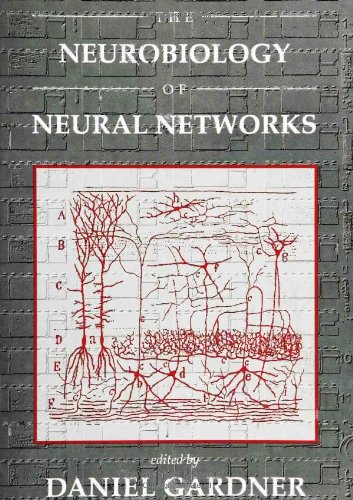 Neurobiology of Neural Networks