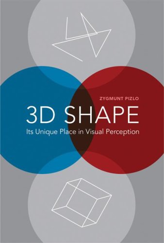 3D Shape