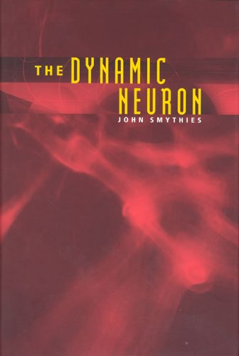 The Dynamic Neuron