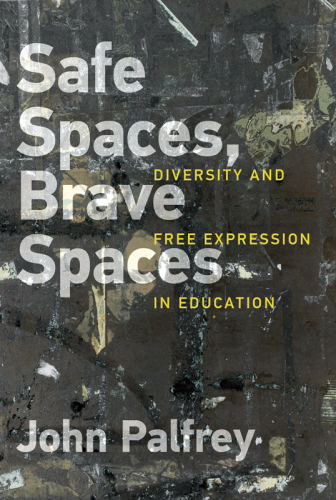 Safe Spaces, Brave Spaces