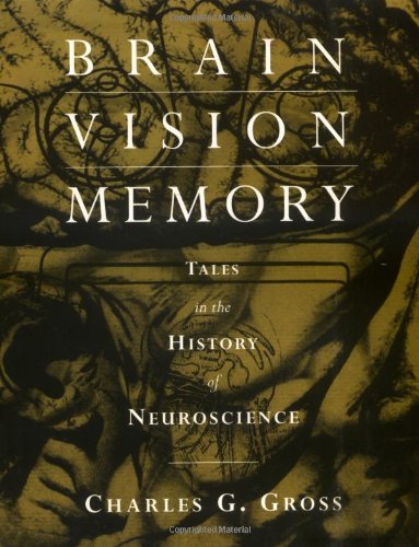 Brain, Vision, Memory