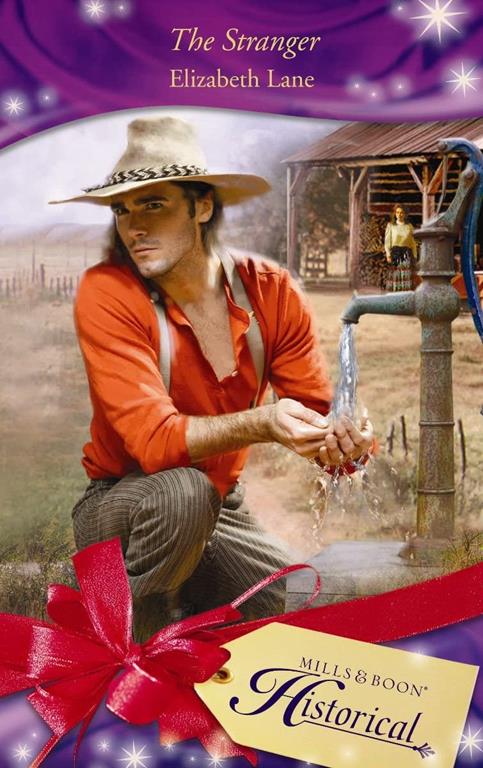 The Stranger (Mills &amp; Boon Historical)