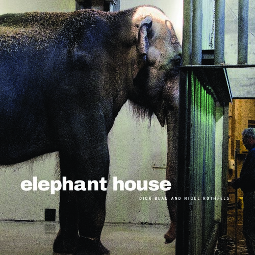 Elephant House