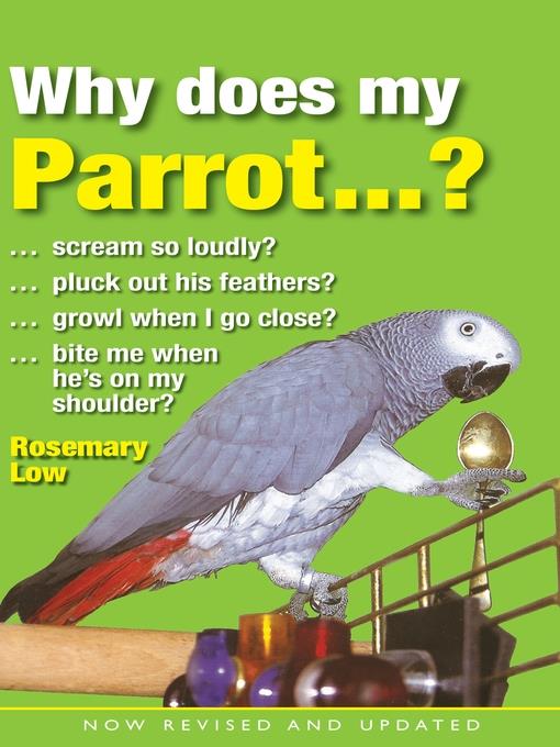 Why Does My Parrot