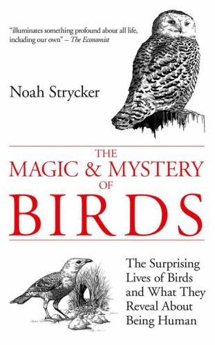 The Magic  Mystery of Birds