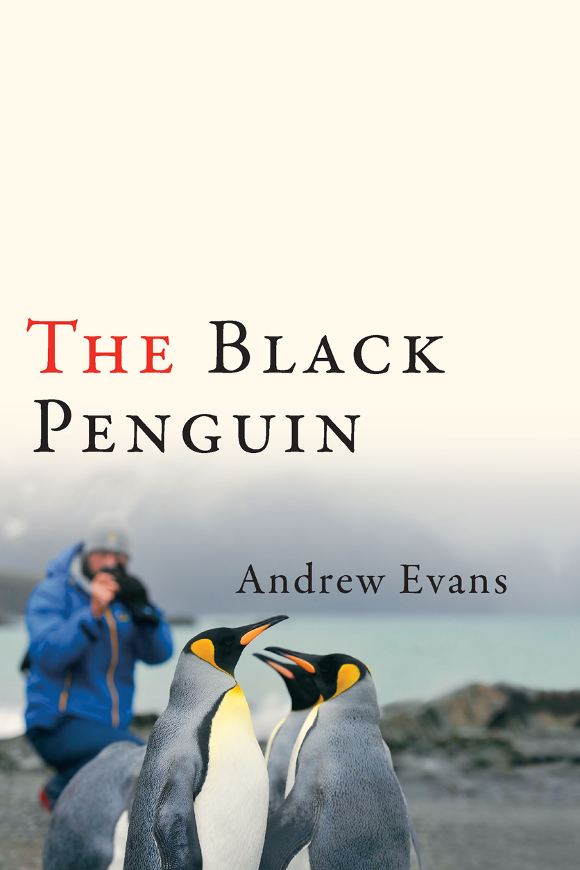 The Black Penguin