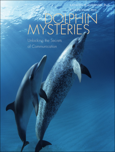 Dolphin Mysteries