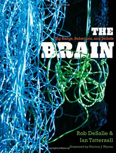 The Brain