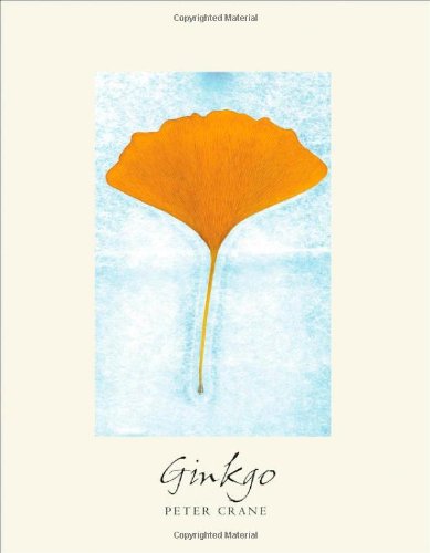 Ginkgo