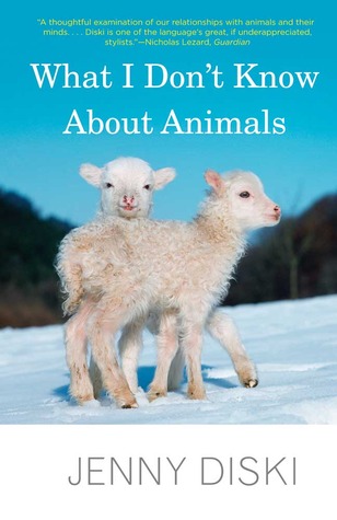 What I Don't Know About Animals