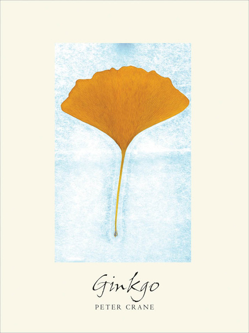 Ginkgo