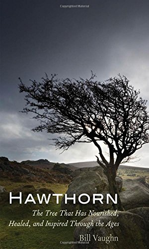 Hawthorn