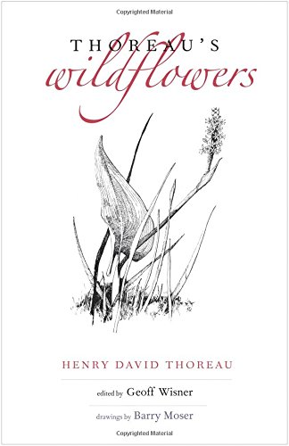 Thoreau's Wildflowers