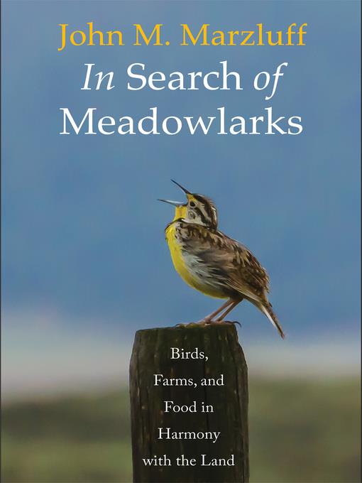 In Search of Meadowlarks