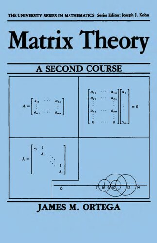 Matrix Theory