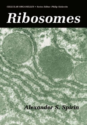 Ribosomes (Cellular Organelles)