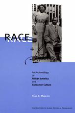 Race and affluence : an archaeology of African America and consumer culture