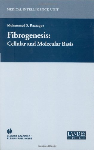 Fibrogenesis