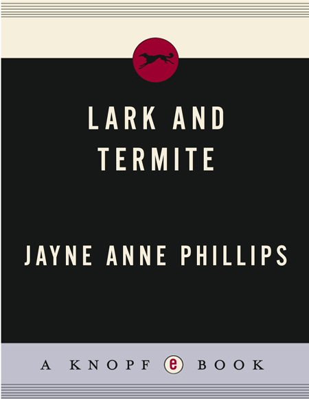 Lark and Termite