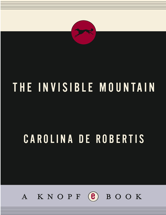 The Invisible Mountain