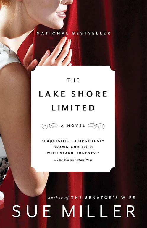 The Lake Shore Limited (Vintage Contemporaries)