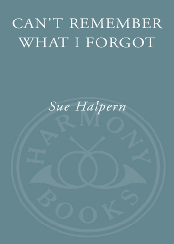 Can't Remember What I Forgot
