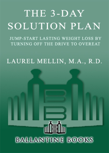 The 3-Day Solution Plan