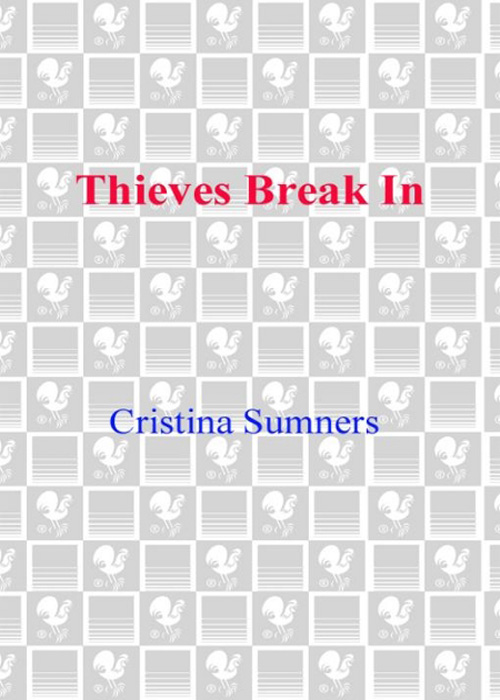 Thieves Break In