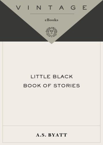 Little Black Book of Stories