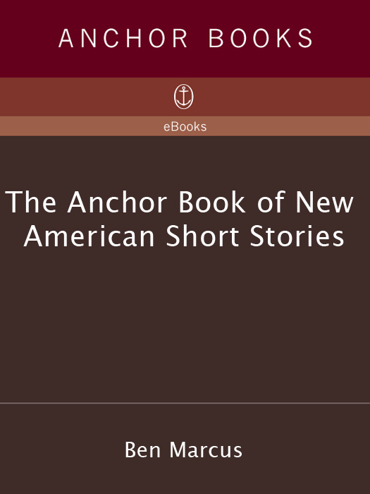 The Anchor Book of New American Short Stories