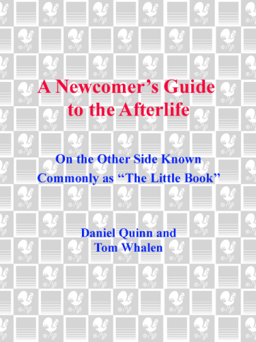 A Newcomer's Guide to the Afterlife