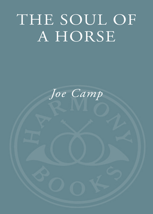 The Soul of a Horse
