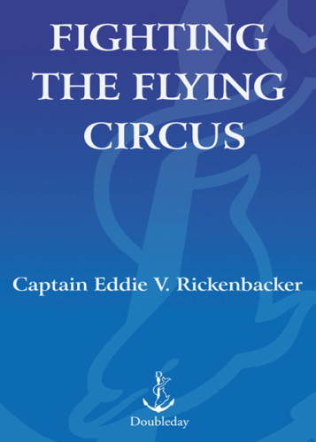 Fighting the Flying Circus