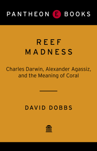 Reef Madness