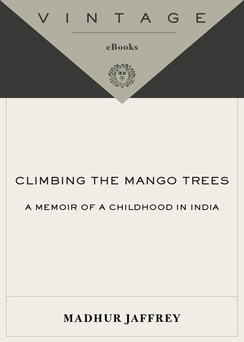 Climbing the Mango Trees