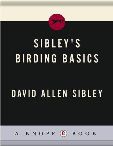 Sibley's Birding Basics