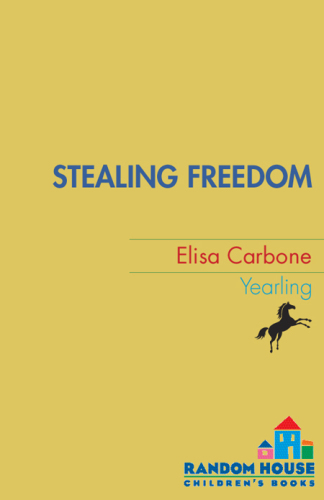 Stealing Freedom
