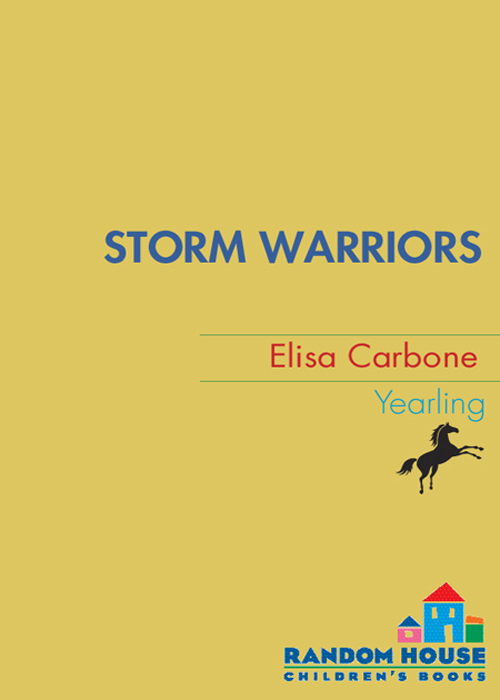 Storm Warriors