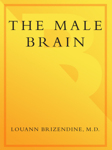 The Male Brain