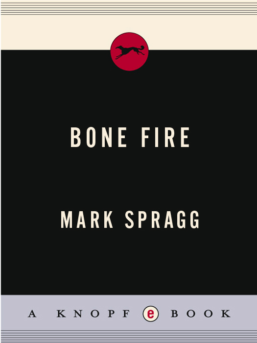 Bone Fire