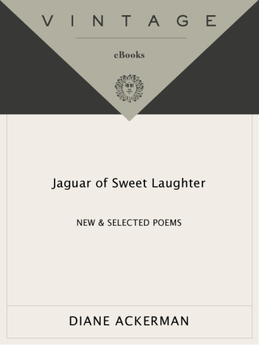 Jaguar of Sweet Laughter