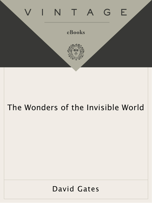 The Wonders of the Invisible World