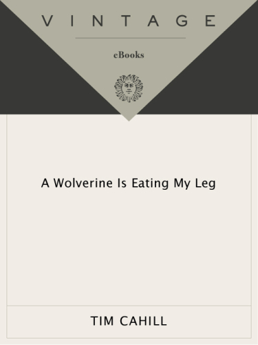 A Wolverine Is Eating My Leg