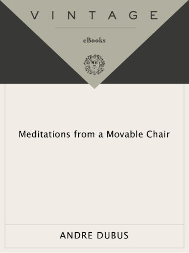 Meditations from a Movable Chair