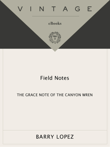 Field Notes