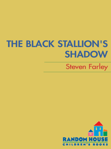 Black Stallion's Shadow