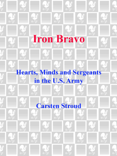 Iron Bravo