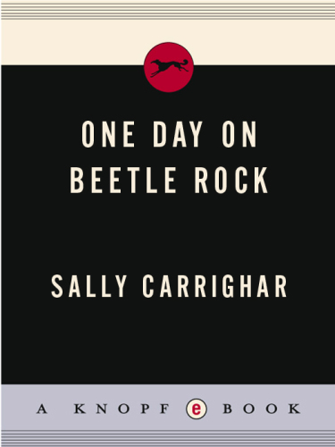 One Day On Beetle Rock