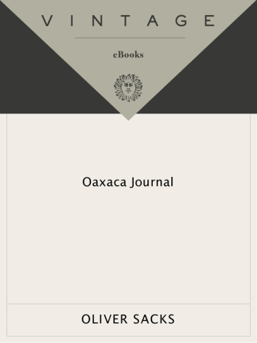 Oaxaca Journal